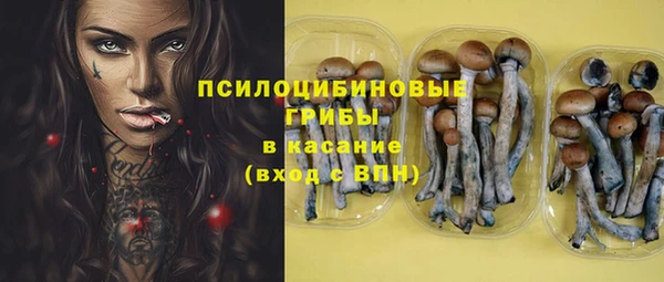 крисы Ельня