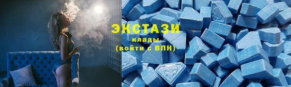 крисы Ельня