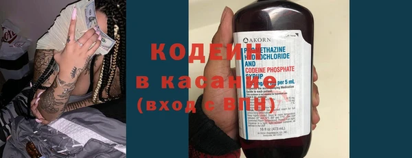 крисы Ельня