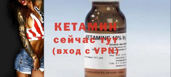 крисы Ельня