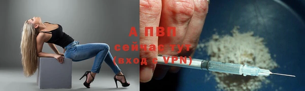 трава Елизово