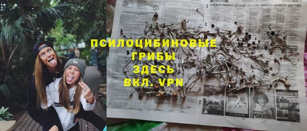 трава Елизово