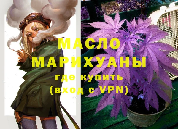 крисы Ельня