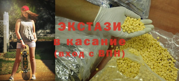 крисы Ельня