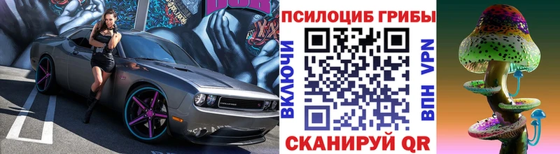 где купить наркотик  мориарти наркотические препараты  Галлюциногенные грибы прущие грибы  Инза 
